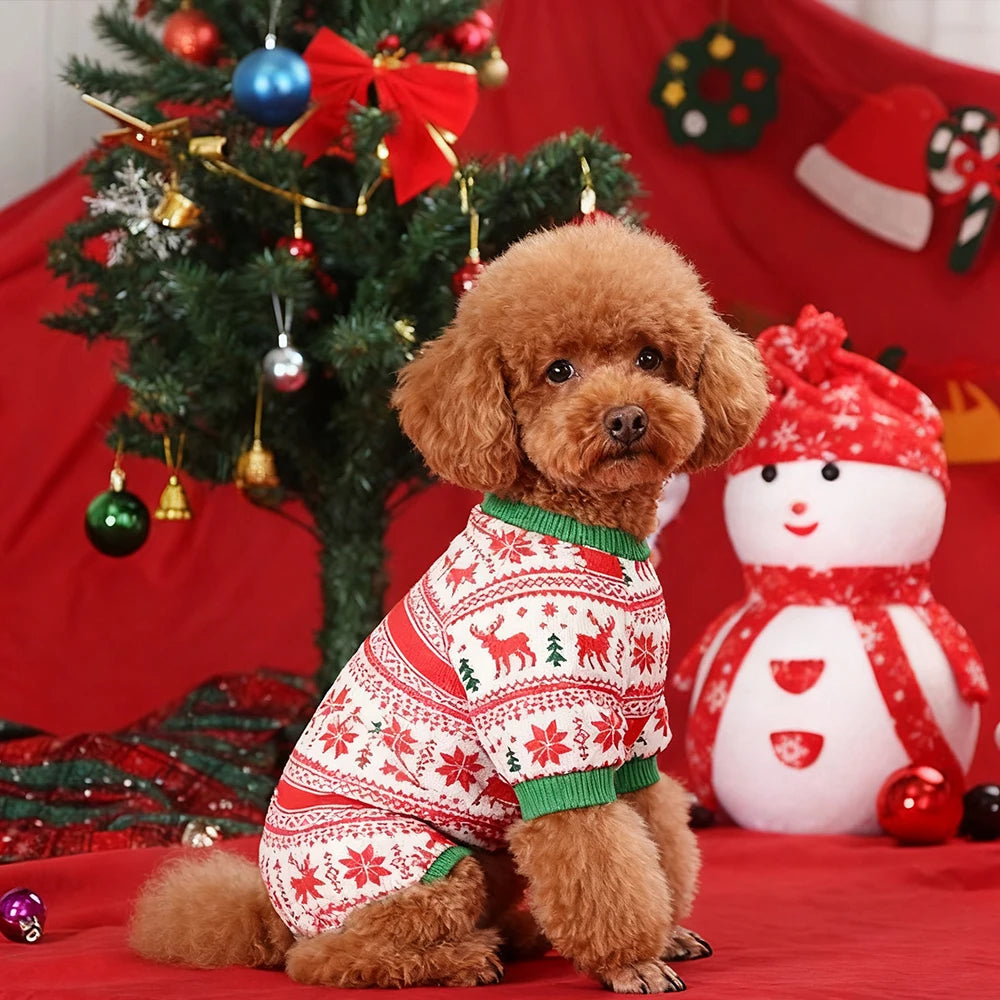 Costume de Noël pour petit chien Ally