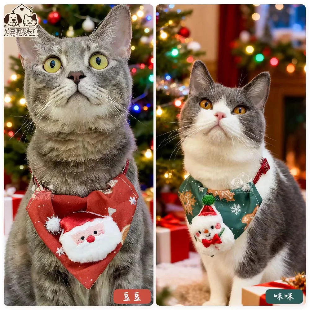 Foulard de Noël Teddy