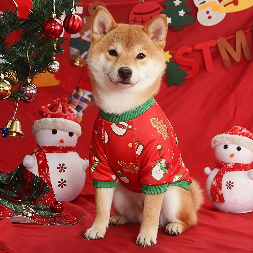 Costume de Noël pour petit chien Ally