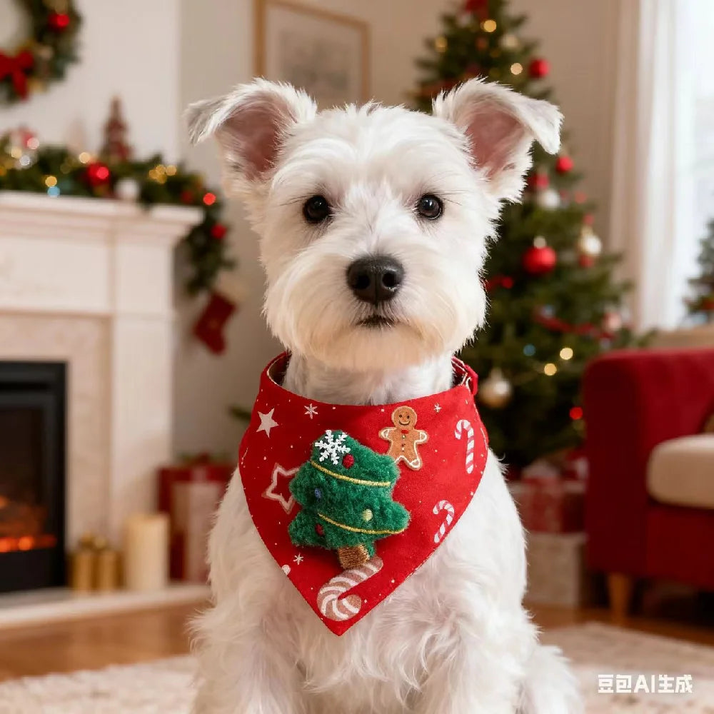 Foulard de Noël Teddy
