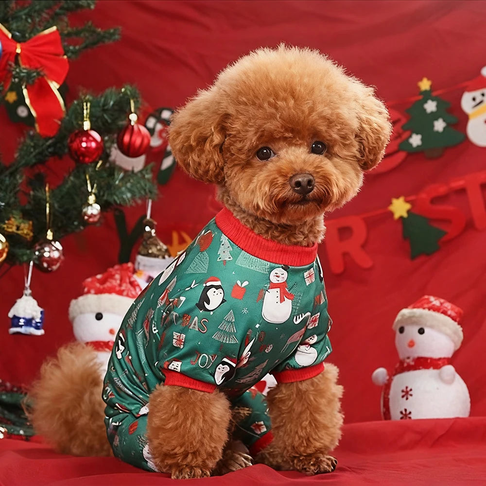 Costume de Noël pour petit chien Ally