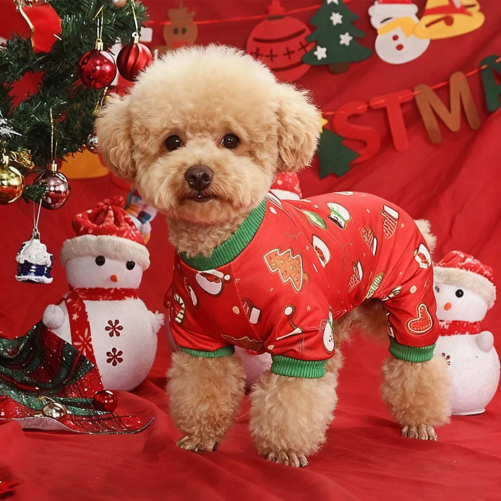 Costume de Noël pour petit chien Ally